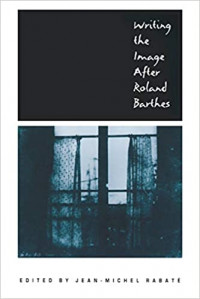 Image of Writing the Image After Roland Barthes