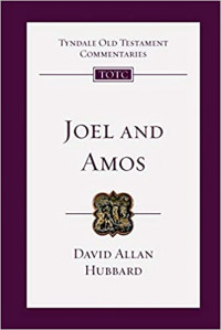 Joel and Amos: An Introduction and Commentary Volume 25