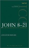 A Critical and Exegetical Commentary on the Gospel According to St. John Volume 2