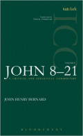 A Critical and Exegetical Commentary on the Gospel According to St. John Volume 2