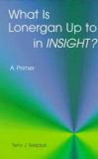 What Is Lonergan Up to in Insight? A Primer